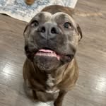Alyssa Jackman - @alyssajackman - Instagram