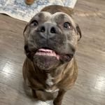 Alyssa Jackman - @alyssajackman - Instagram