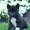 alyssajamison54 - @alyssajamison5403 - TikTok