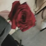 alyssa jasso - @alyssa_idk2 - Instagram