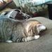 Alicia Kellerman - Facebook