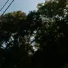Alicia Kimbrough - @alicia.kimbrough - TikTok