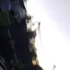 Alyssa_kimmel - @alyssa_kimmel - TikTok