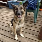 Alyssa Bennett Kittelson - @alyssa_kittelson - Instagram