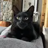 Whoknows - @alyssa_kittle - TikTok