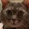 alyssa - @alyssaaknapp - TikTok