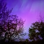 Alyssa Koenig - @akoenig0809 - Instagram