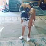 Alyssakoenig - @alyssako1211 - Instagram