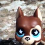 Alyssa Krueger - @alyssakrueger3301 - Instagram