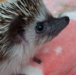 Eliza Kampf - Facebook
