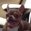 Alyssa LaBarge - @alyssa.labarge - TikTok