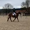 alyssa la cavaliere - @alyssa_0301 - TikTok
