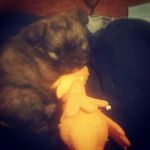 Alyssa  lackey - @alyssalackey2005 - Instagram