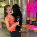 Alysson Laforge - @alyssonn20 - Instagram