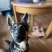 Alyssia Lahr - Facebook