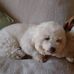 Alicia Lambrecht - Facebook