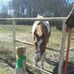 Alyssa Landrum - Facebook