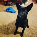 Alyssa landrum - @landrum.alyssa - Instagram