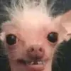 alyssa - @alyssa_laney - TikTok