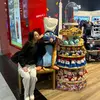 lyssa - @notalyssalanger - TikTok