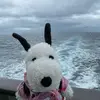 alyssa 🤍 - @alyssa.lassiter - TikTok