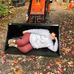 Alyssa Latimer D'Aoust - Facebook