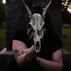 Alyssa Lawrence - @alyssalawrence29 - TikTok