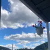 alyssa - @alyssaleitner7 - TikTok