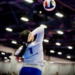 Alyssa Leone - @alyssaleonevb - Instagram