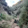 Amtl - @4ly5 - TikTok