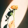AlyssaFletcher - @alyssafletcherzcfjqept - TikTok