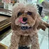 Alyssa LeVin - @alyssa.levin - TikTok