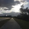 -Alyssaley - @alyssaley7 - TikTok