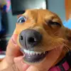 Alyssa - @alyssalo.12 - TikTok