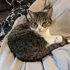 Alyssa Lockhart - @alyssa.lockhart5 - TikTok
