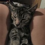 Alyssa Madison Hedgepath - @princess_hayes_15 - Instagram