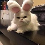 Alyssa Markley - @grace2022tt - Instagram