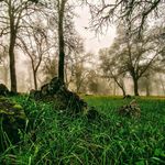 Alyssa McCabe Photography - @alyssarmphotography - Instagram