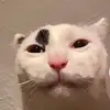 Alissa - @alissamoulder - TikTok