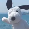 Alyssaoh - @alys.oh.ur.amazin - TikTok