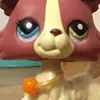 alyssapace - @lps418 - TikTok