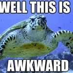 Alyssa Packer - @that.scuba.alpaca - Instagram