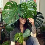 Alyssa Clegg | Plant Parent - @leaves.by.lyss - Instagram