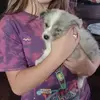 Alyssa parson - @user2769459176273 - TikTok