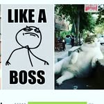 Alyssa Patterson - @_septic_girl_ - Instagram