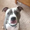 Alyssa patton - @alyssapat17 - TikTok