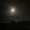 Alissa Pence - @alissa_pence_ - TikTok