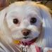 Alyssa Perrett - Facebook