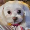 alyssaperrett143 - @alyssaperrett143 - TikTok