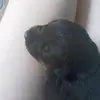 alyssa123577 - @alyssapinedaviktiria - TikTok